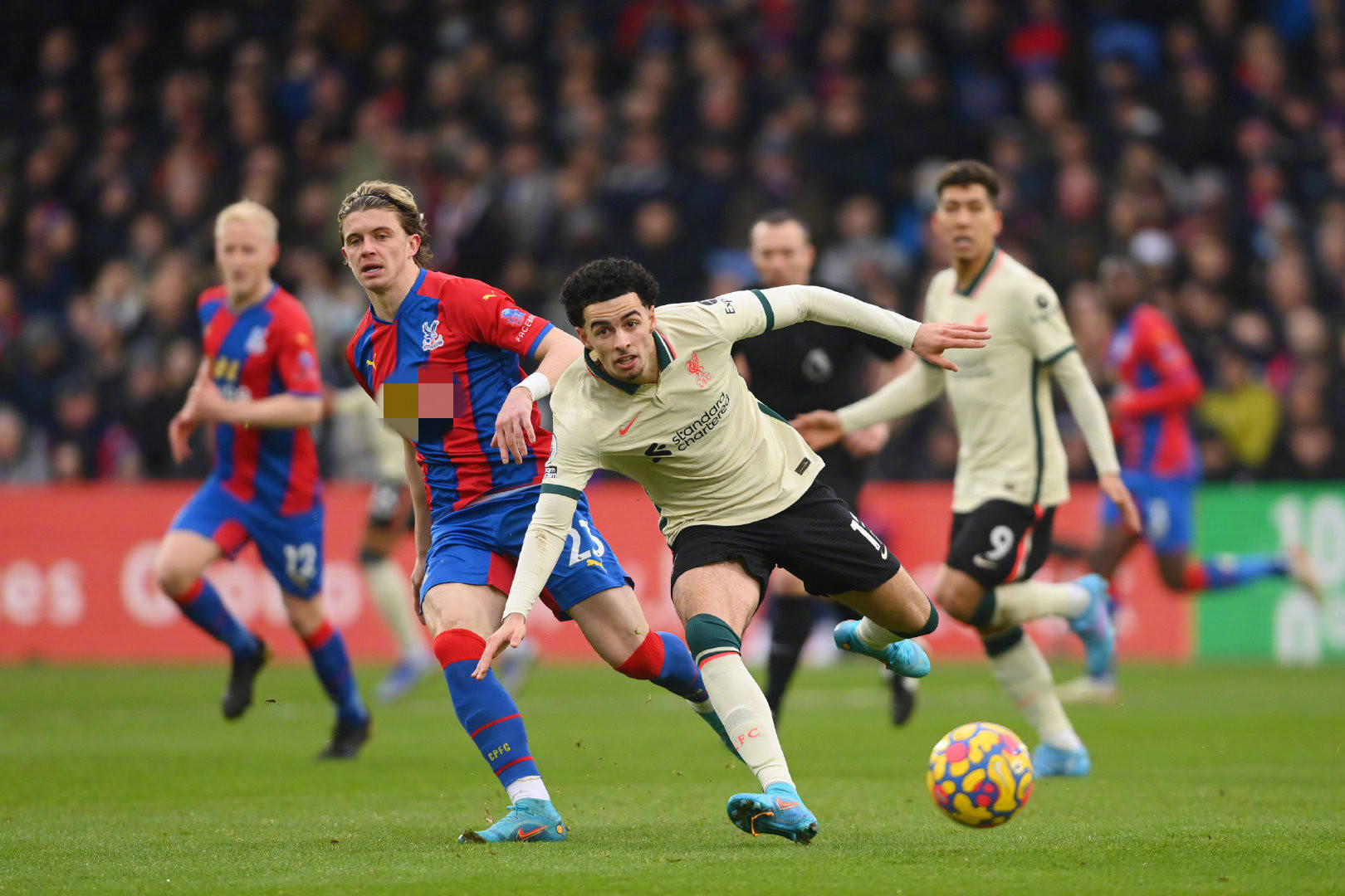 会从市场的 会从市场的